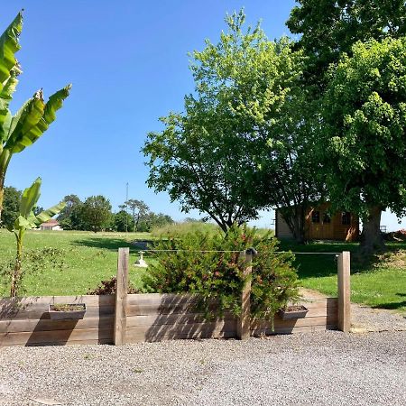 Le Domaine De Darracq Otel Arsagne Dış mekan fotoğraf